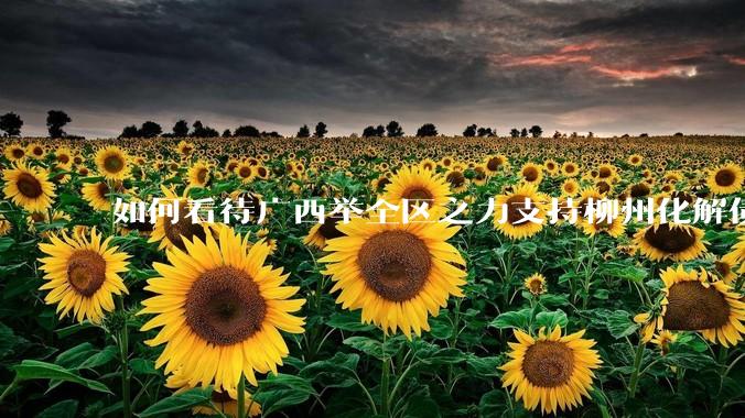 如何看待广西举全区之力支持柳州化解债务？为什么最近地方债又重回公众视野？